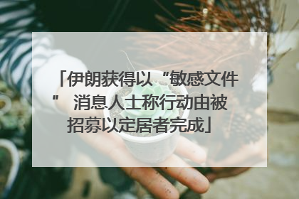 伊朗获得以“敏感文件” 消息人士称行动由被招募以定居者完成