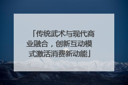传统武术与现代商业融合，创新互动模式激活消费新动能