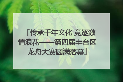 传承千年文化 竞逐激情浪花——第四届丰台区龙舟大赛圆满落幕