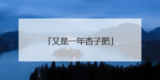 又是一年杏子肥