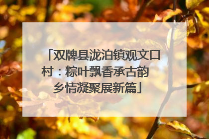 双牌县泷泊镇观文口村：粽叶飘香承古韵 乡情凝聚展新篇