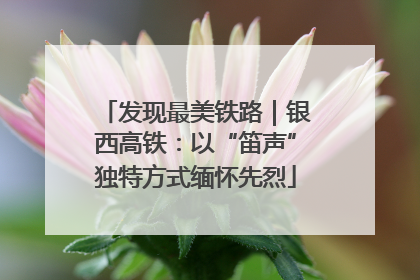发现最美铁路｜银西高铁：以“笛声”独特方式缅怀先烈
