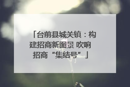 台前县城关镇：构建招商新图景 吹响招商“集结号”