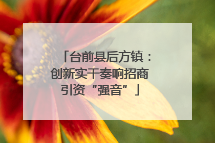 台前县后方镇：创新实干奏响招商引资“强音”