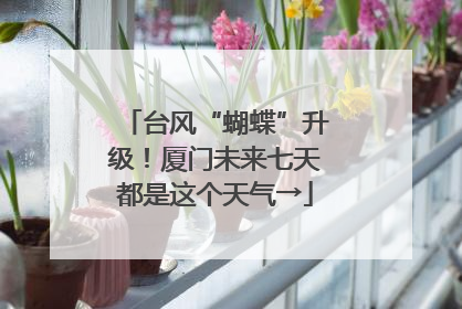 台风“蝴蝶”升级！厦门未来七天都是这个天气→