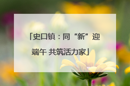 史口镇：同“新”迎端午 共筑活力家