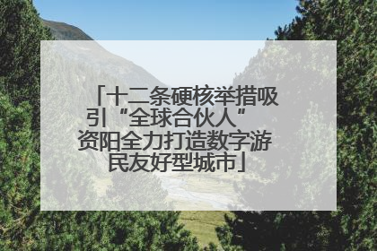 十二条硬核举措吸引“全球合伙人” 资阳全力打造数字游民友好型城市