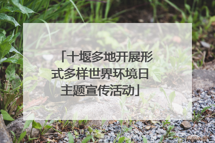 十堰多地开展形式多样世界环境日主题宣传活动