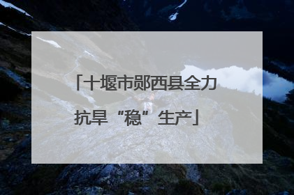 十堰市郧西县全力抗旱“稳”生产