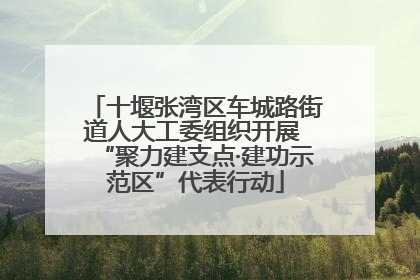 十堰张湾区车城路街道人大工委组织开展 “聚力建支点·建功示范区”代表行动