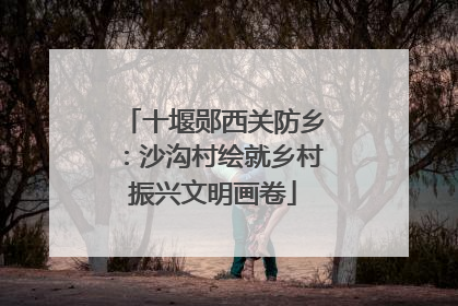 十堰郧西关防乡：沙沟村绘就乡村振兴文明画卷