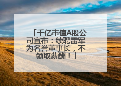 千亿市值A股公司宣布：续聘雷军为名誉董事长，不领取薪酬！