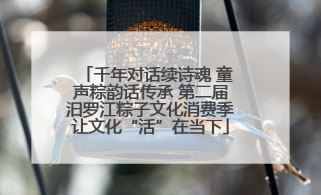千年对话续诗魂 童声粽韵话传承 第二届汨罗江粽子文化消费季让文化“活”在当下