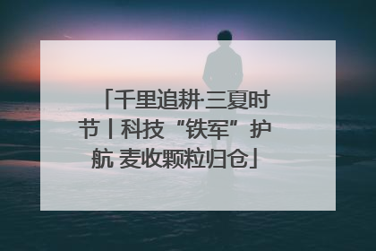 千里追耕·三夏时节丨科技“铁军”护航 麦收颗粒归仓