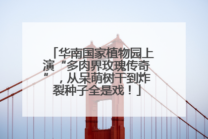 华南国家植物园上演“多肉界玫瑰传奇”，从呆萌树干到炸裂种子全是戏！