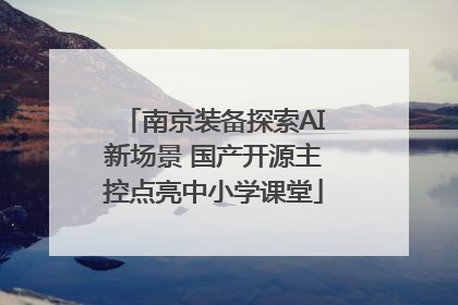 南京装备探索AI新场景 国产开源主控点亮中小学课堂