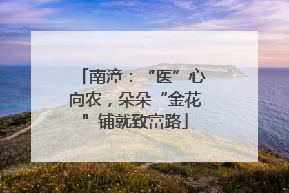 南漳：“医”心向农，朵朵“金花”铺就致富路