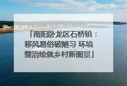 南阳卧龙区石桥镇：移风易俗破陋习 环境整治绘就乡村新图景