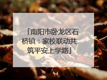 南阳市卧龙区石桥镇：家校联动共筑平安上学路