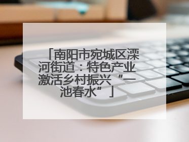 南阳市宛城区溧河街道：特色产业激活乡村振兴“一池春水”