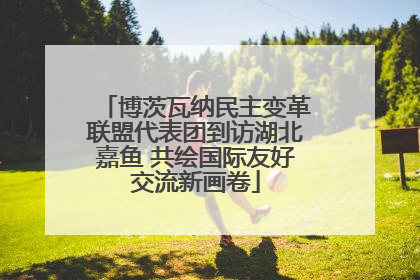 博茨瓦纳民主变革联盟代表团到访湖北嘉鱼 共绘国际友好交流新画卷