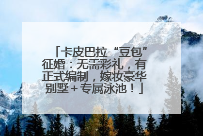 卡皮巴拉“豆包”征婚：无需彩礼，有正式编制，嫁妆豪华别墅＋专属泳池！