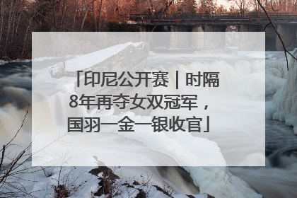 印尼公开赛｜时隔8年再夺女双冠军，国羽一金一银收官