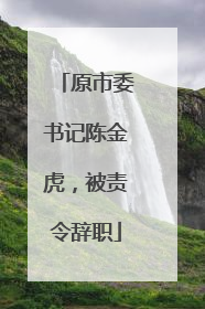 原市委书记陈金虎，被责令辞职