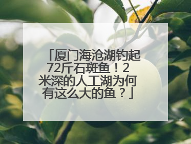 厦门海沧湖钓起72斤石斑鱼！2米深的人工湖为何有这么大的鱼？