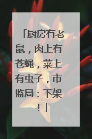 厨房有老鼠，肉上有苍蝇，菜上有虫子，市监局：下架！