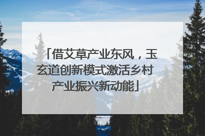 借艾草产业东风，玉玄道创新模式激活乡村产业振兴新动能