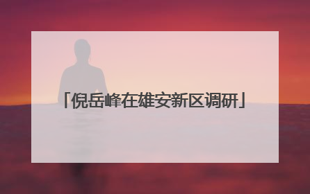倪岳峰在雄安新区调研