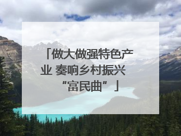 做大做强特色产业 奏响乡村振兴“富民曲”