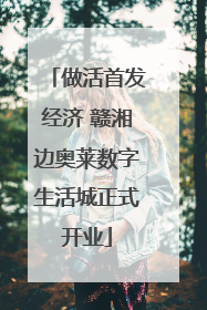 做活首发经济 赣湘边奥莱数字生活城正式开业