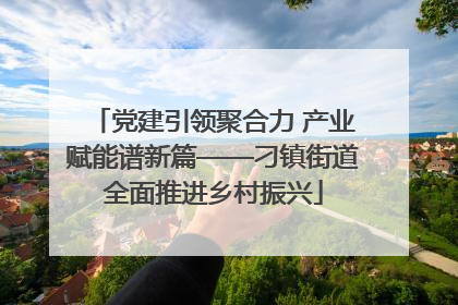 党建引领聚合力 产业赋能谱新篇——刁镇街道全面推进乡村振兴