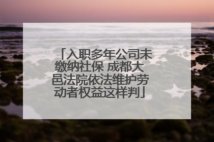 入职多年公司未缴纳社保 成都大邑法院依法维护劳动者权益这样判
