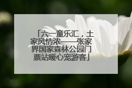 六一童乐汇，土家风情浓——张家界国家森林公园门票站暖心宠游客