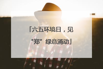 六五环境日，见“郑”绿意涌动