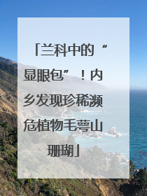 兰科中的“显眼包”！内乡发现珍稀濒危植物毛萼山珊瑚