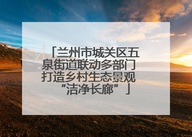 兰州市城关区五泉街道联动多部门打造乡村生态景观“洁净长廊”
