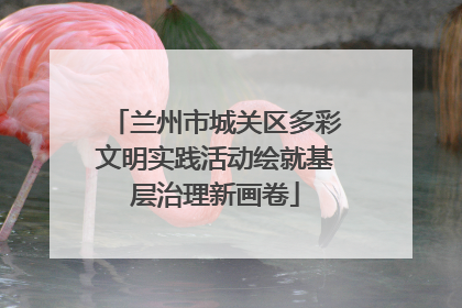 兰州市城关区多彩文明实践活动绘就基层治理新画卷