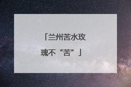 兰州苦水玫瑰不“苦”