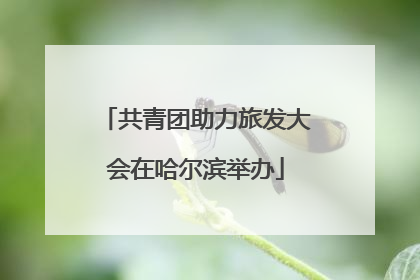 共青团助力旅发大会在哈尔滨举办