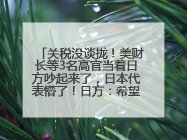 关税没谈拢！美财长等3名高官当着日方吵起来了，日本代表懵了！日方：希望实现石破茂与特朗普的会晤