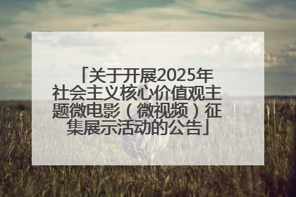 关于开展2025年社会主义核心价值观主题微电影（微视频）征集展示活动的公告