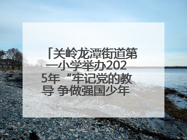 关岭龙潭街道第一小学举办2025年“牢记党的教导 争做强国少年”“六一”文艺汇演活动