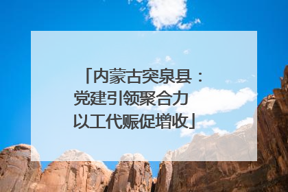 内蒙古突泉县：党建引领聚合力 以工代赈促增收