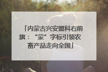 内蒙古兴安盟科右前旗：“蒙”字标引领农畜产品走向全国