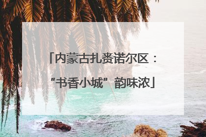 内蒙古扎赉诺尔区：“书香小城”韵味浓