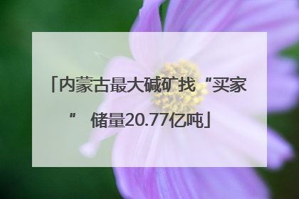 内蒙古最大碱矿找“买家” 储量20.77亿吨